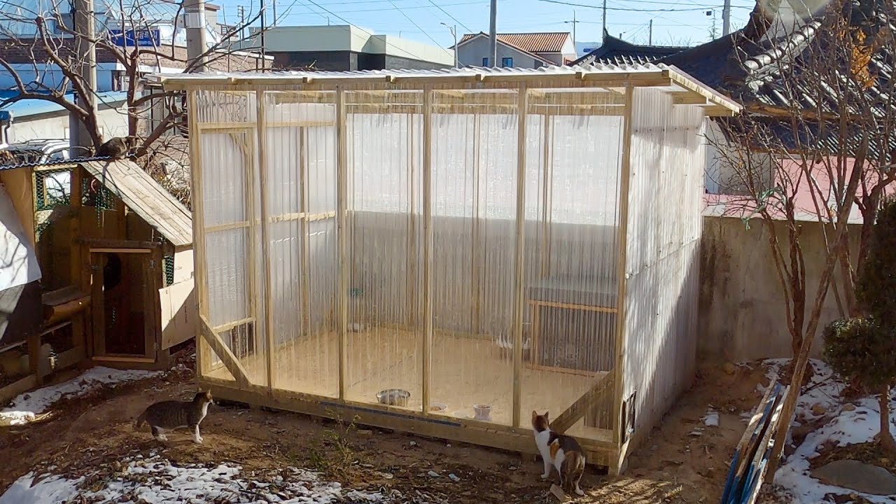 온종일 피스작업만 하는 고양이  쉼터 만들기!! (종일 타카쏘고 피스만 박는 고양이하우스 제작 영상)