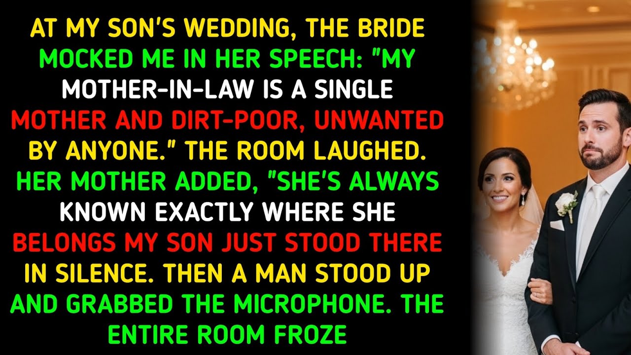 AT MY SON'S WEDDING, THE BRIDE MOCKED ME IN HER SPEECH: 