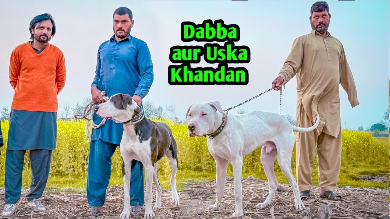 Bully Dogs ka Group Mil Gaya 