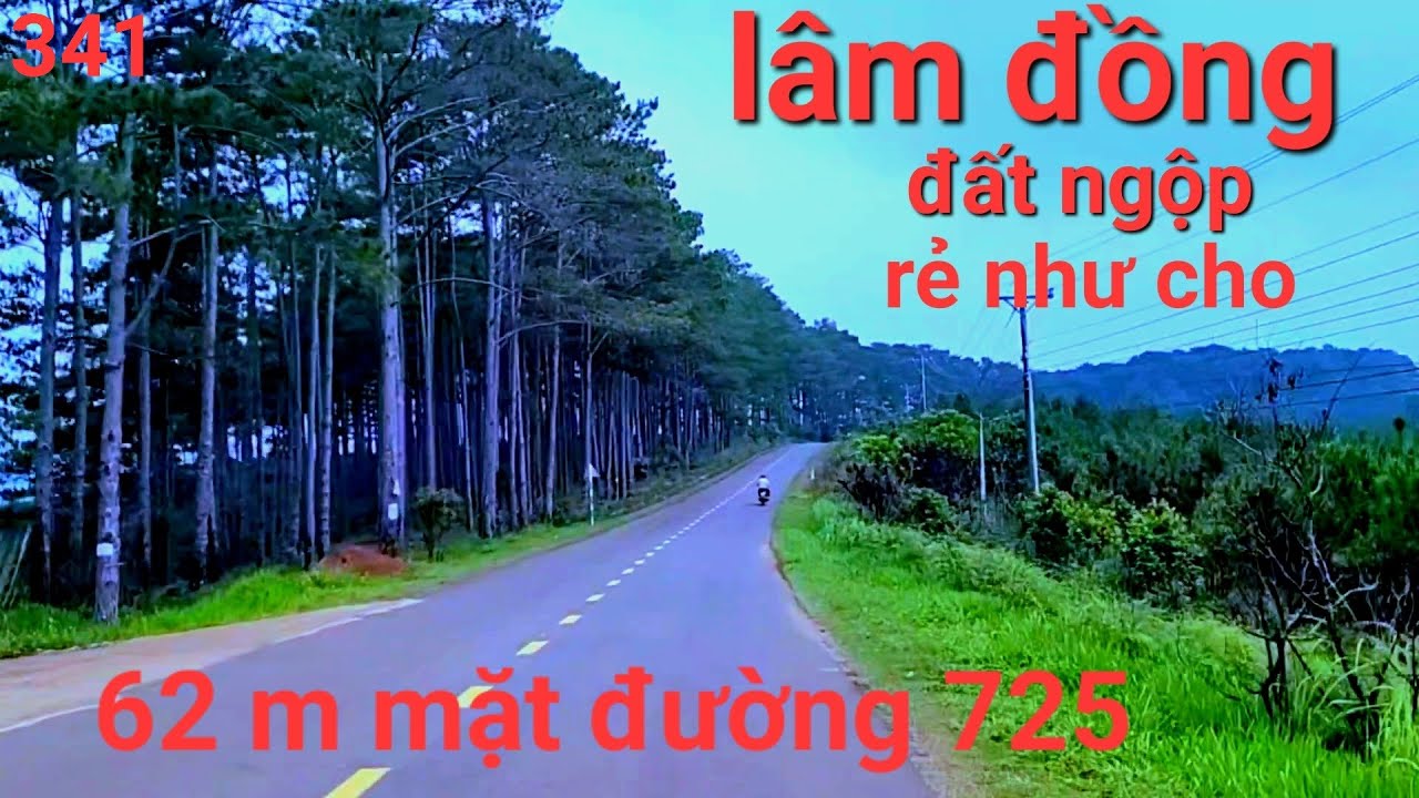 bất động sản 6.212m2 .62 mét mặt đường nhựa 725..có thêm 70 m mặt đường phụ...thêm 70 mét suối