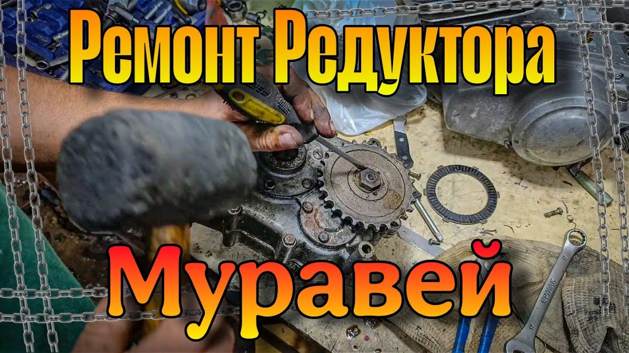 Ремонтируем, разбираем, исправляем, собираем! Ремонт редуктора Муравей! 