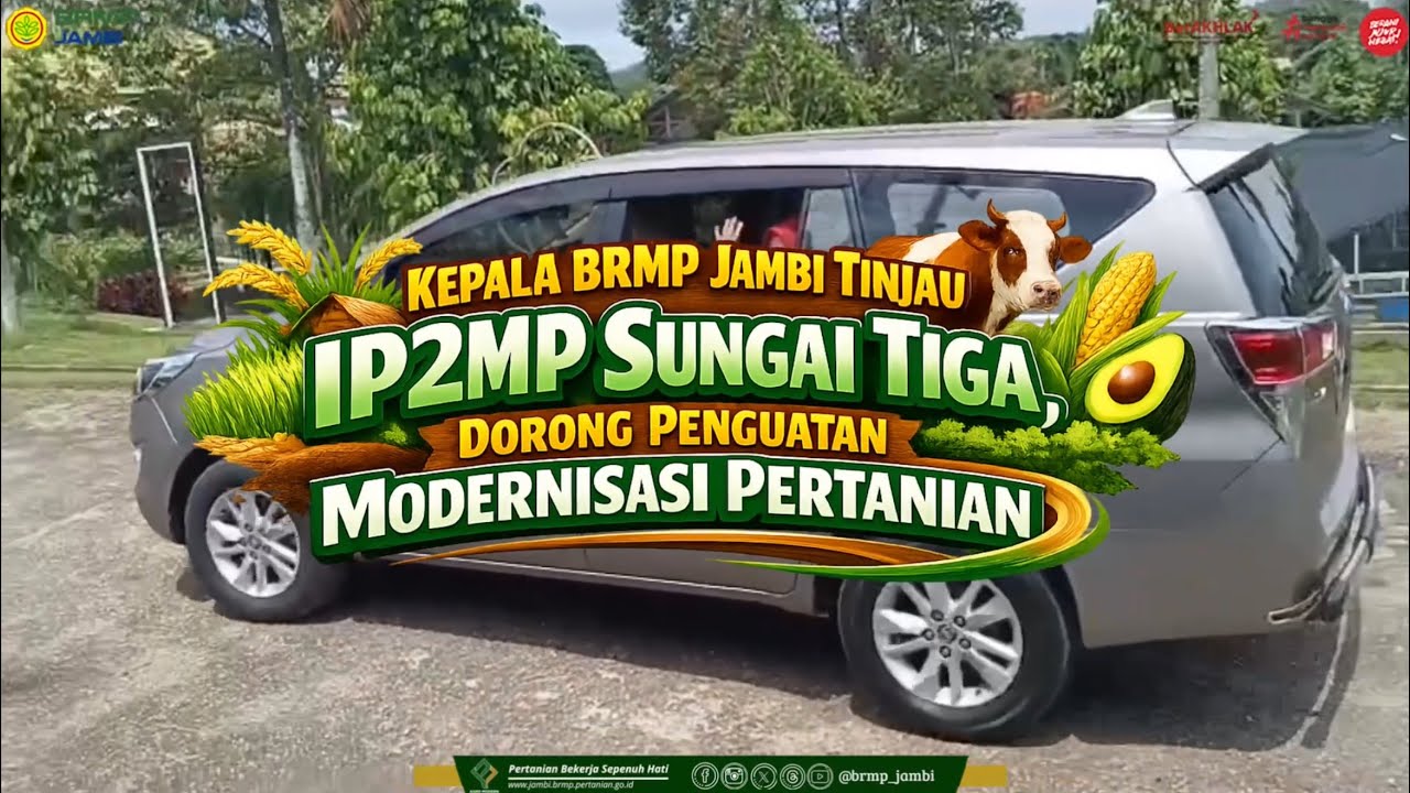 Kepala BRMP Jambi Tinjau IP2MP Sungai Tiga, Dorong Penguatan Modernisasi Pertanian