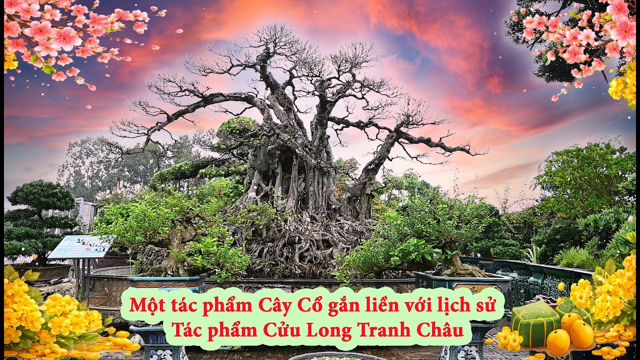 Một tác phẩm cây cổ gắn liền với lịch sử Tác phẩm Cửu Long Tranh Châu