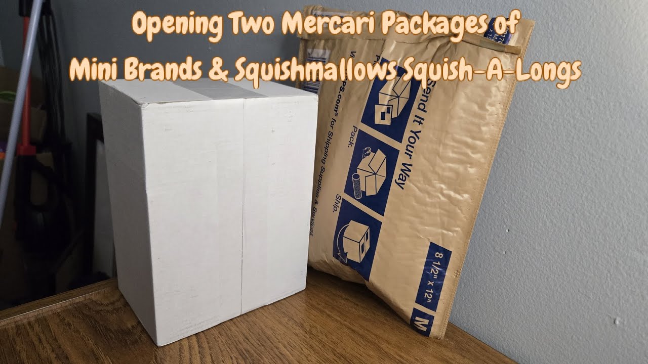 Распаковка двух посылок Mercari с мини-брендами и игрушками Squishmallows Squish-A-Longs.