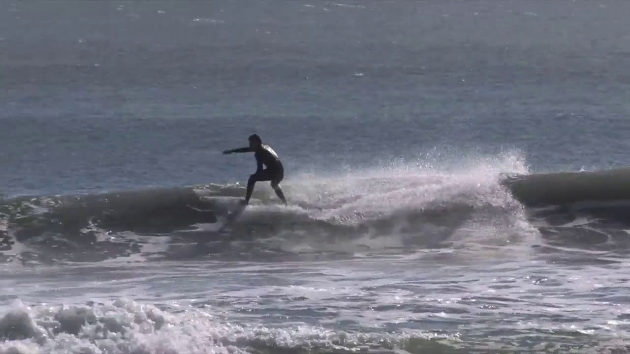 Dane Reynolds | novelty gifts