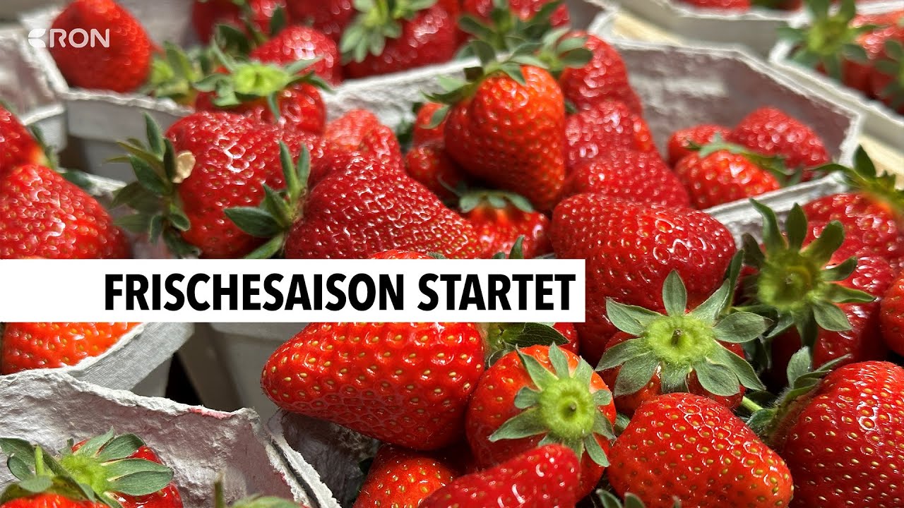 Pfalzmarkt startet in die neue Saison | RON TV