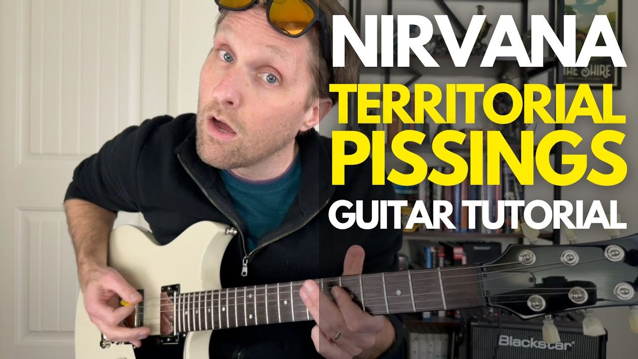 Territorial Pissings by Nirvana Guitar Tutorial - Уроки игры на гитаре со Стюартом!