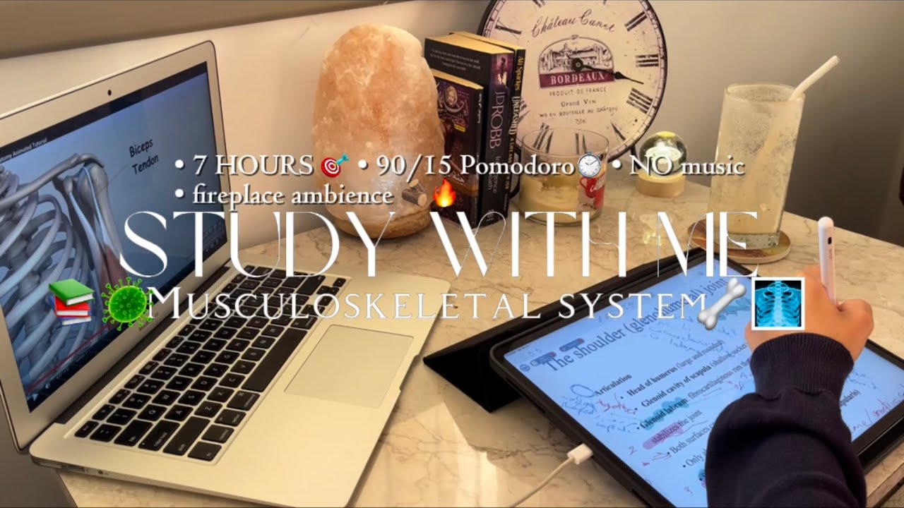Study with me The Musculoskeletal System 🩻 | 7 hrs 🕰️ - 90/15 pomodoro - no music
