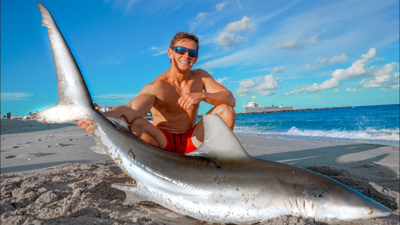 We ATE this Beach Shark! Catch Clean Cook (Blacktip Shark)