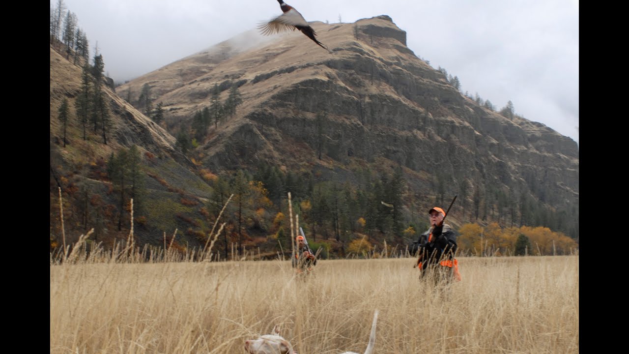Flying B Ranch Tour 2026