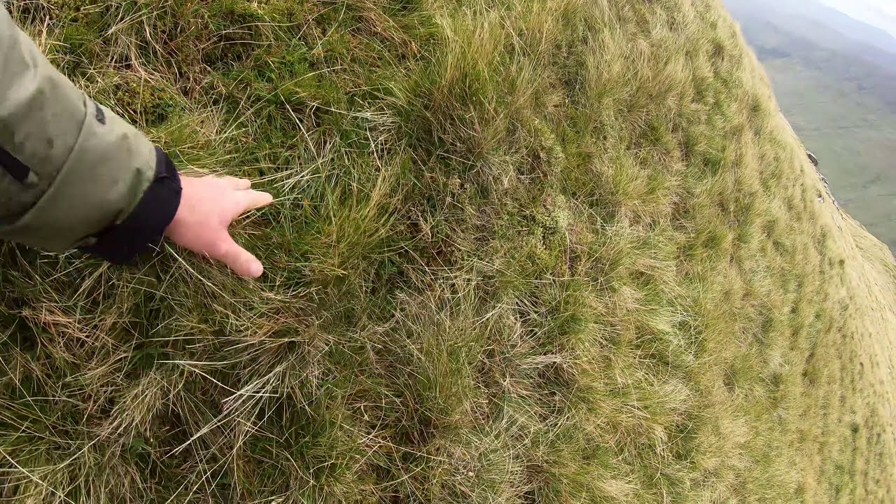 Barrclashcame, Sheeffry Hills. County Mayo.