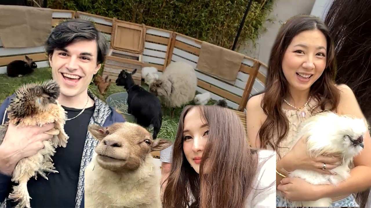 Tina and Foolish Pet Farm Animals