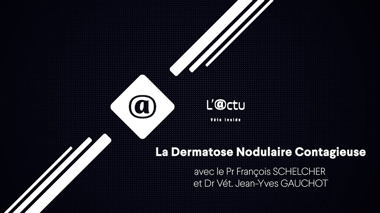 L'@CTU - La Dermatose Nodulaire Contagieuse : Science, Rigueur et Responsabilité Collective