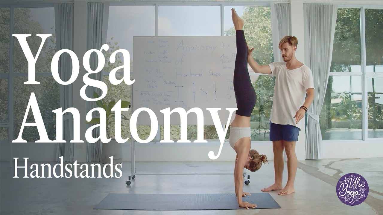 Handstand Anatomy & Alignment | Avoid Pain & Build Strength