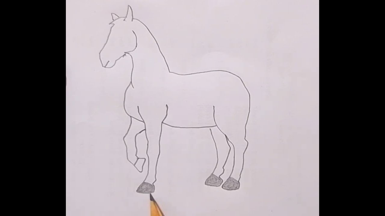 How to make horse drawing/easy drawing step by step pencil art/