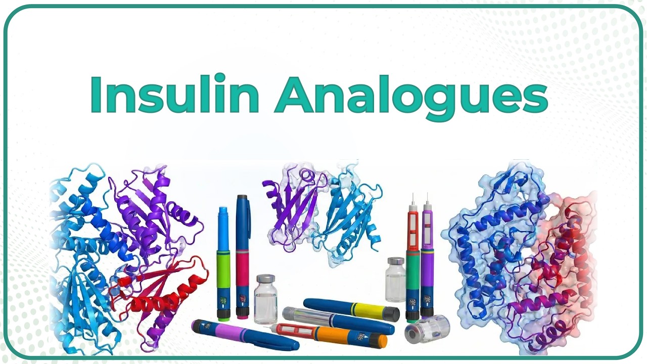 Insulin Analogues (Animation) : Pharmacology Lecture
