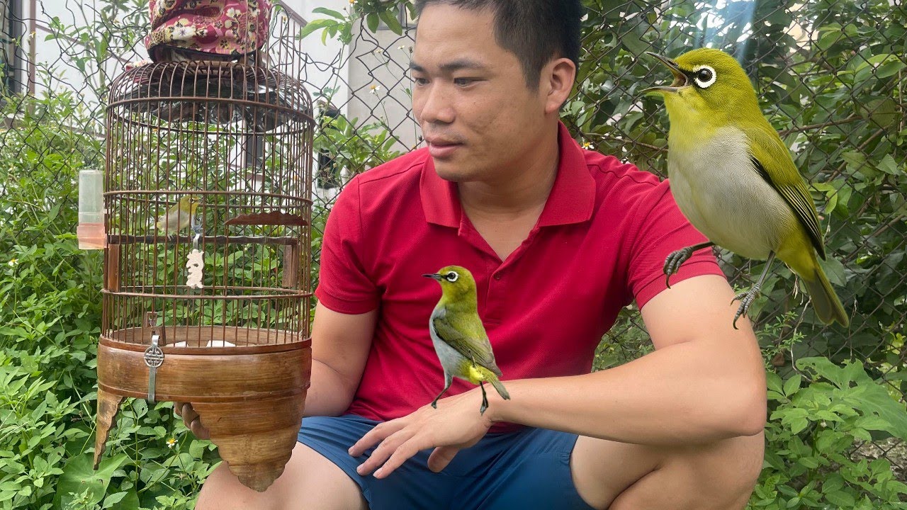 Vào CÁM cho Chim Khuyên Mít và rất bất ngờ về kết quả | CHIẾN SÒ TV