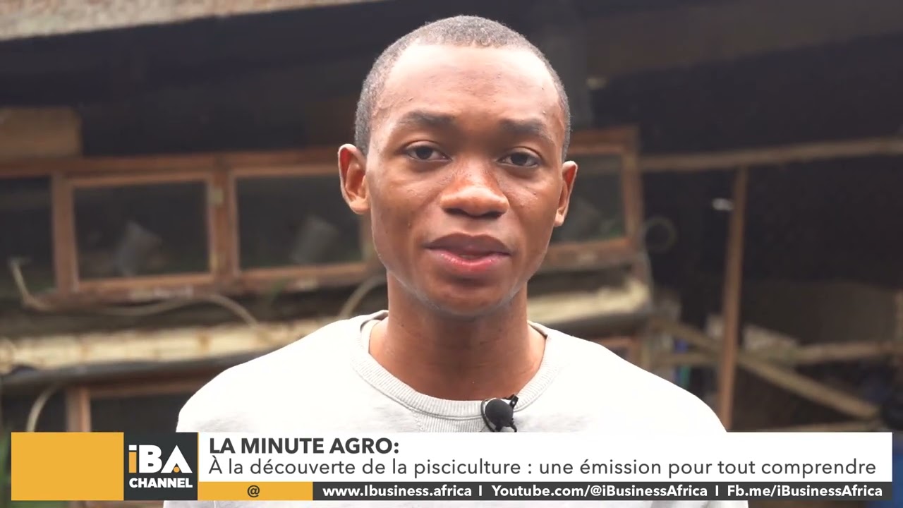 Élevage des poissons Tilapias Carpes Dorades et Silures en bacs hors sol