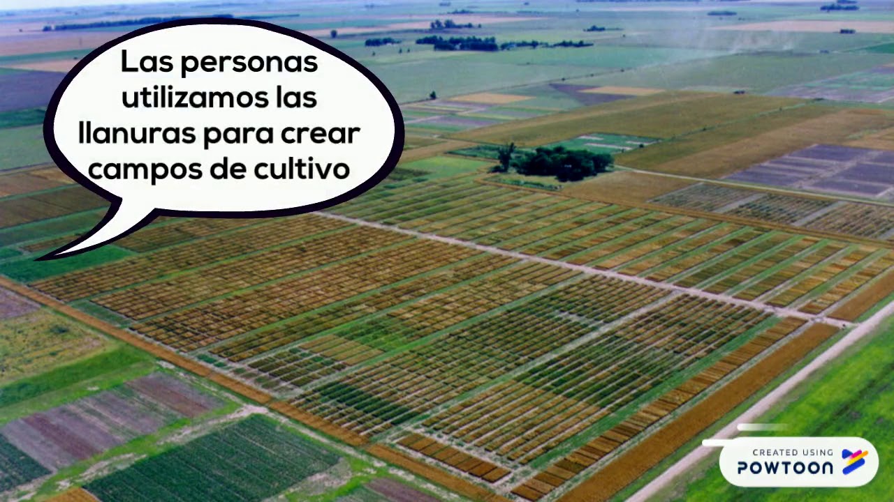 Paisaje de llanura