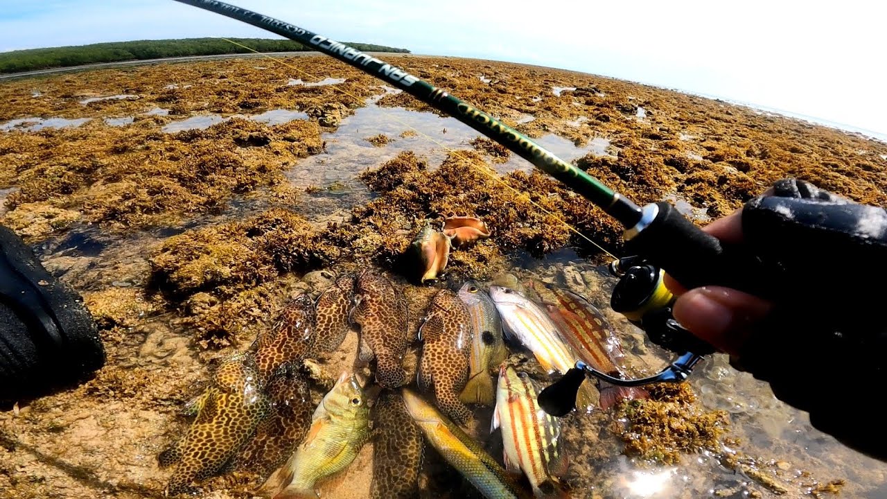 UL Ep. 198 Kuha tayo ng pang-ulam gamit ang ultralight set-up | Quick morning fishing session
