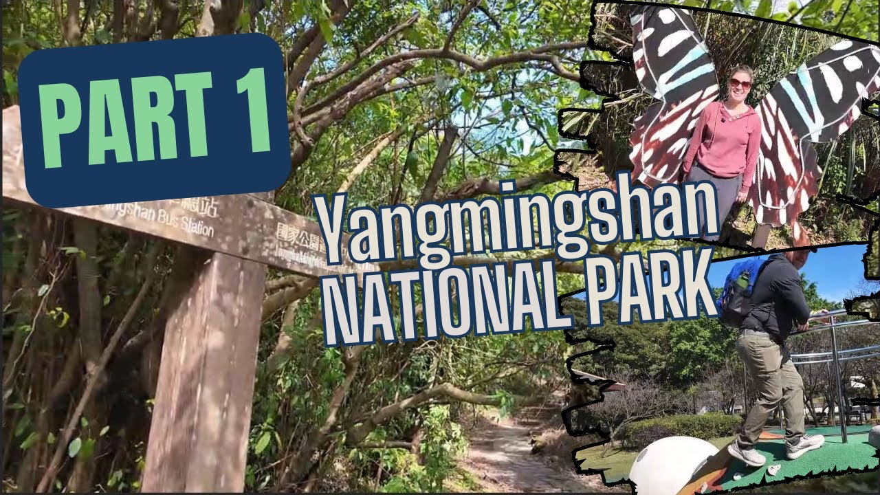 Taipei to Yangmingshan: Adventure by Train & Bus | Part 1