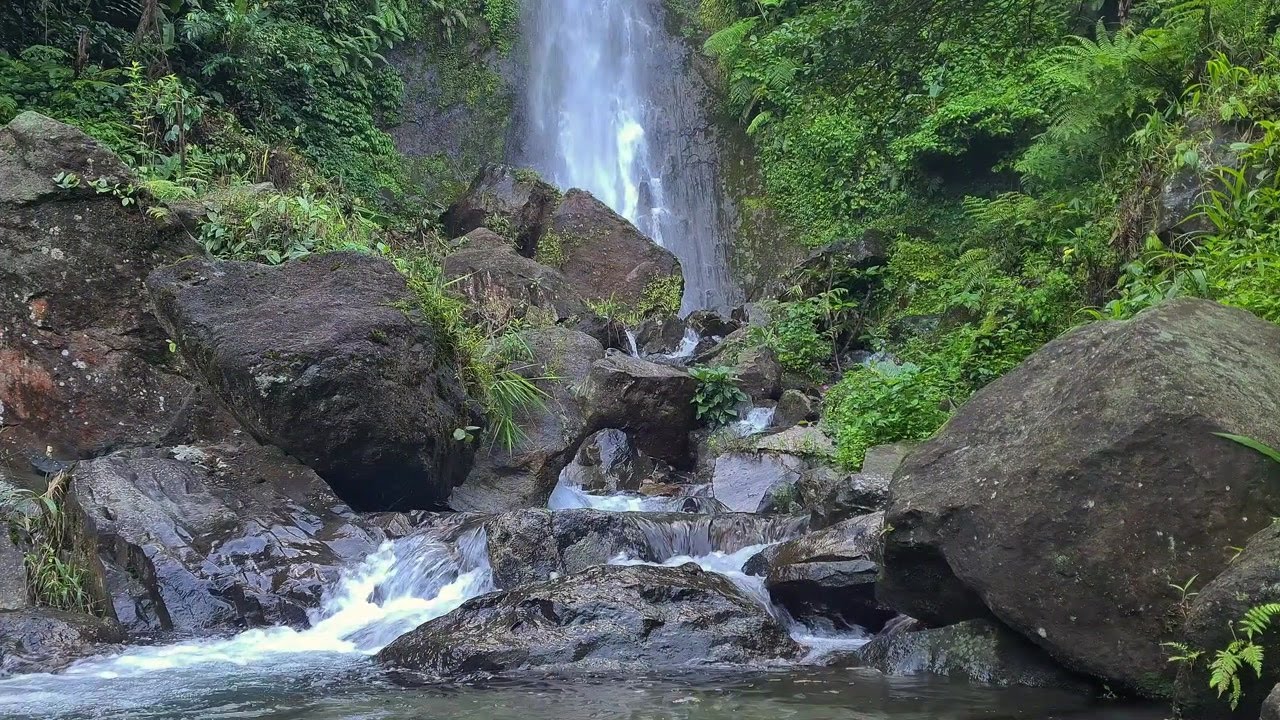 Soft River Ambience | Natural White Noise to Focus and Unwind