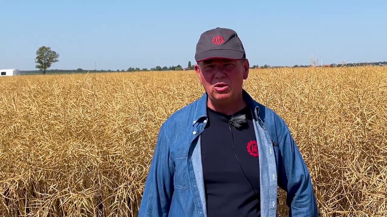 Sprawdź wyniki doświadczenia efektywnego wykorzystania azotu | LG Ambassador