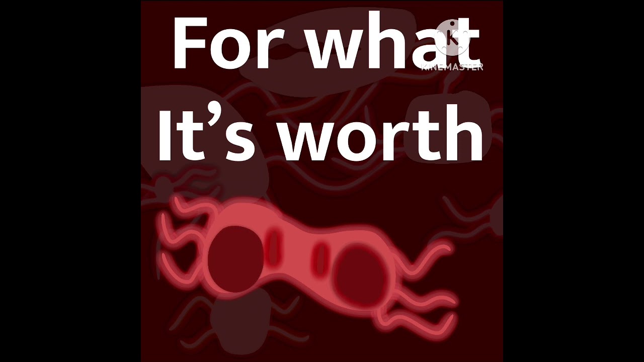 For what it’s worth by homay Schmitz