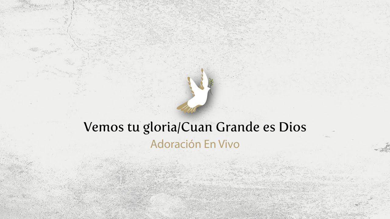 Adoraci&oacute;n en vivo - Vemos tu gloria/Cuan grande es Dios- Erick Andrade