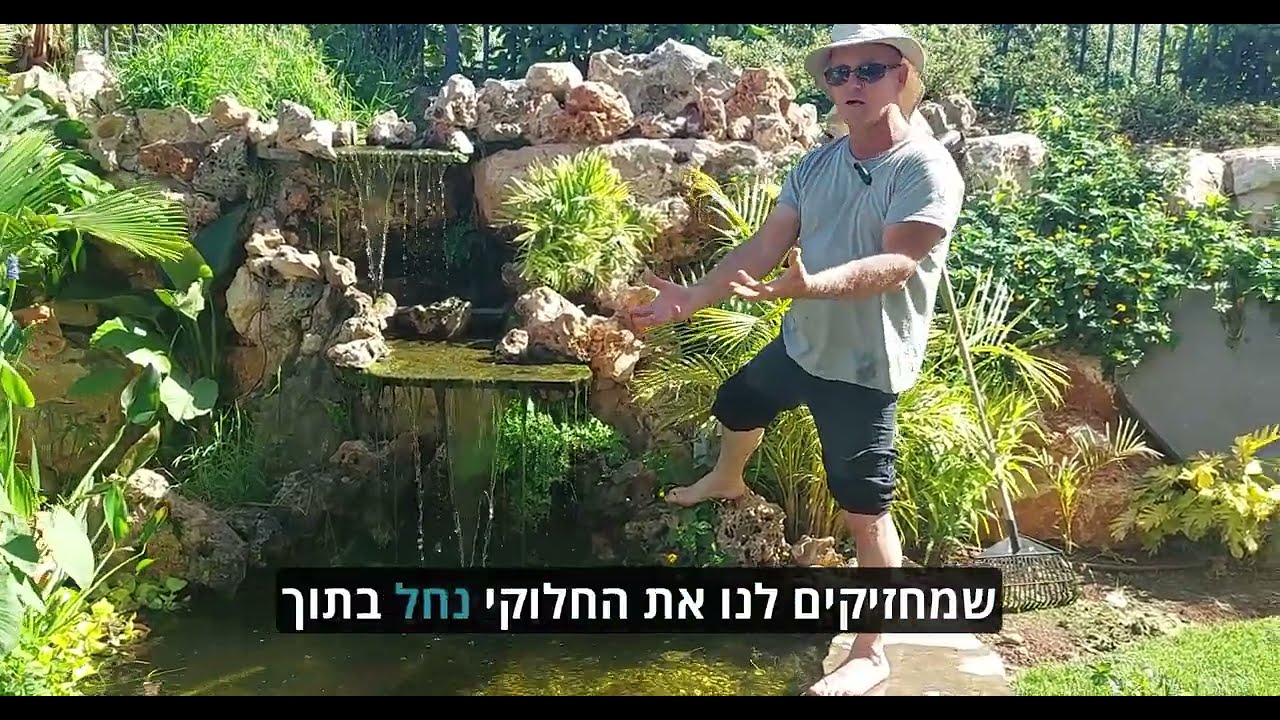 בניית בריכת נוי בגינה לכל החיים: החומרים והקונסטרוקציה הנכונה! 🏗️🌊