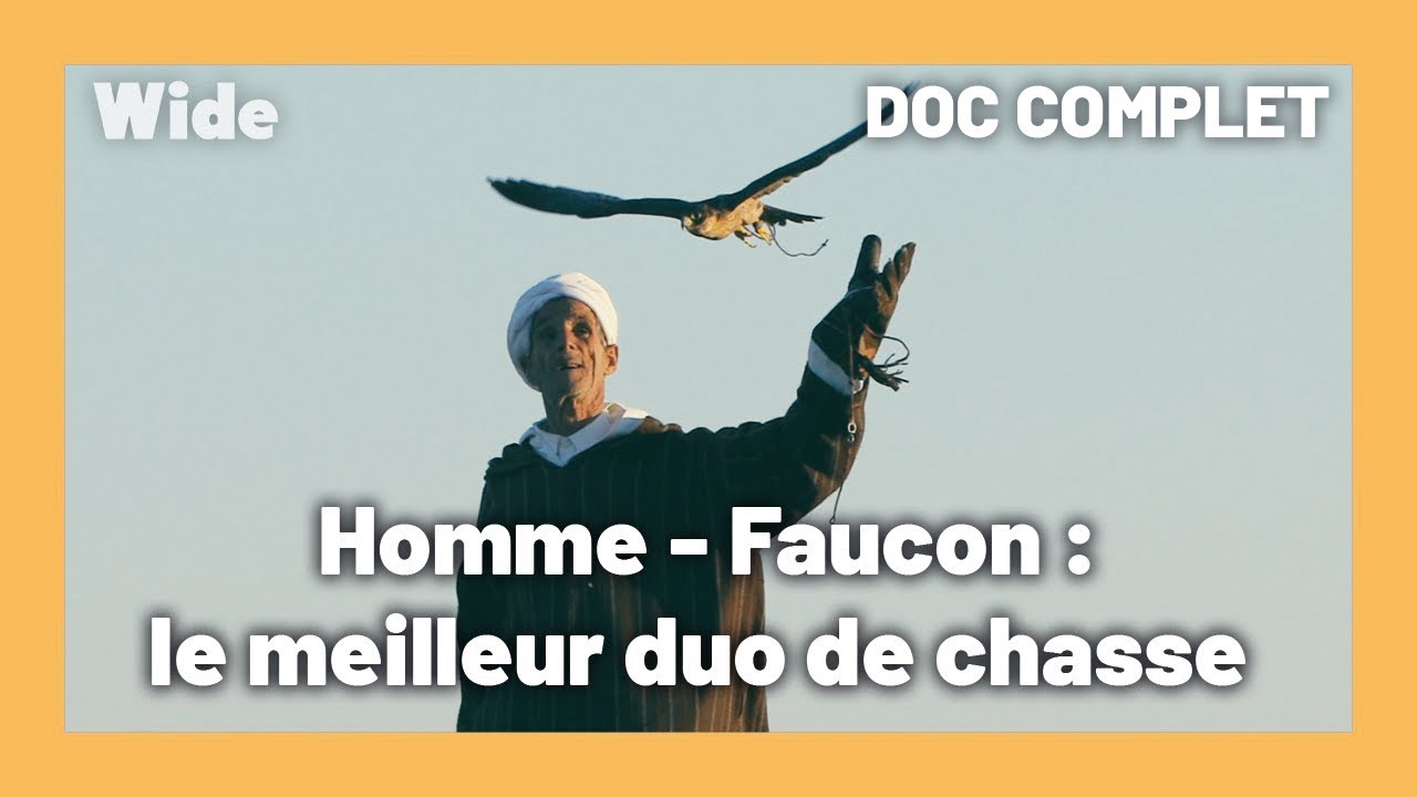 MAROC : rencontre avec la CÉLÈBRE tribu de fauconniers | WIDE | DOC COMPLET