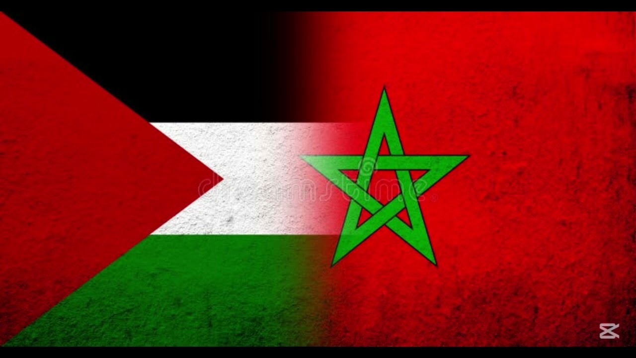 D MAX  FREE PALESTINE #NewRap#RapSong#TrapMaroc#DrillMaroc#FreestyleMaroc#trending#اكسبلور