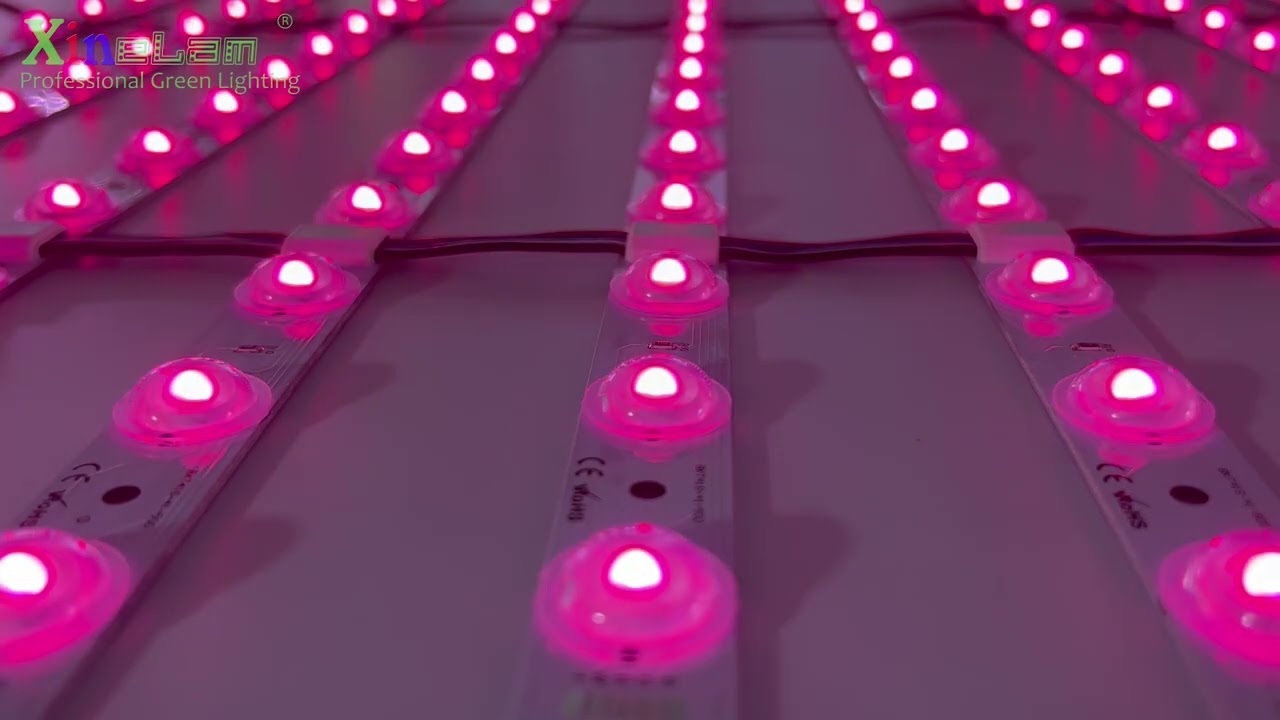 Excellent lighting effect - RGBW LED Lens Lattice #backlight Signs Light boxes Ceiling Wall