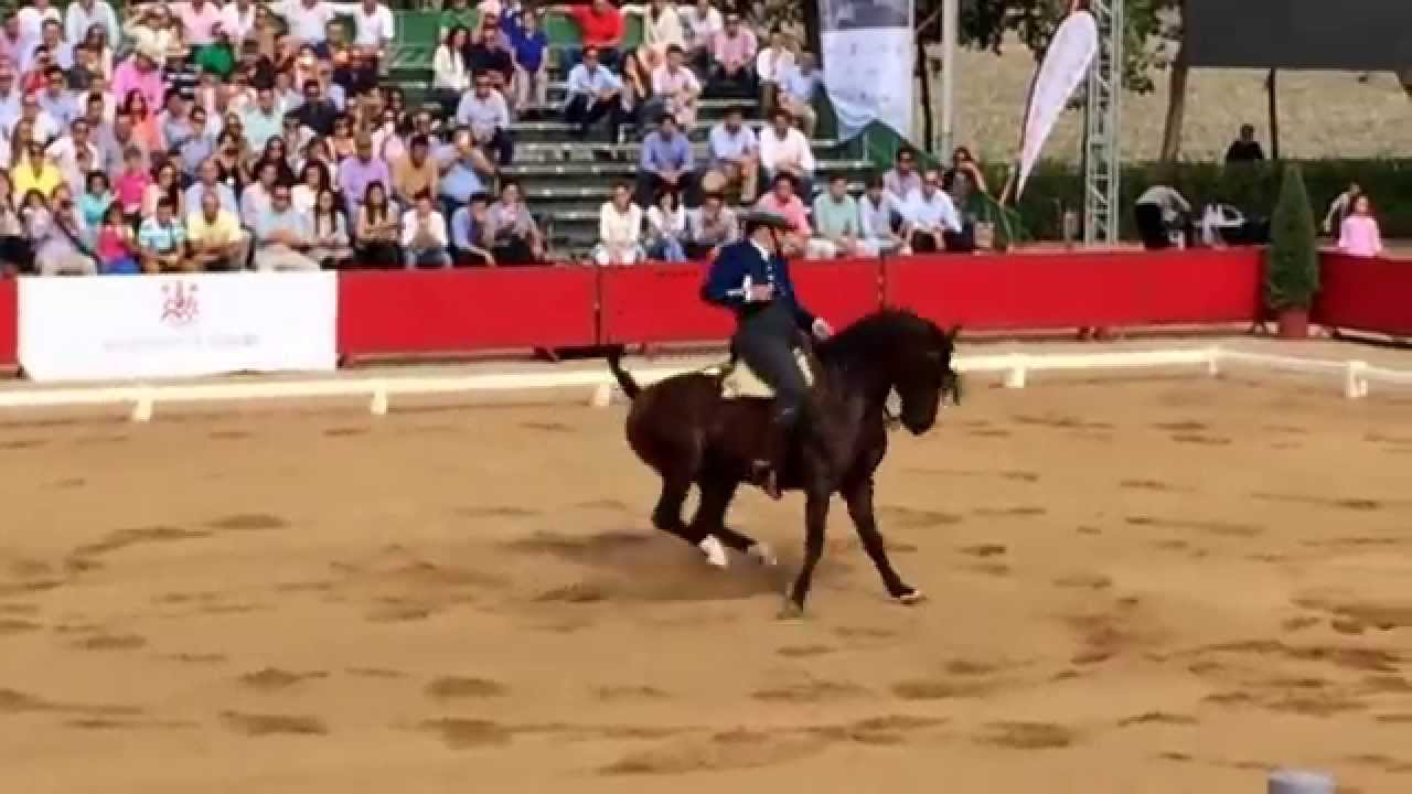 RAFAEL ARCOS GANADOR CAMPEONATO DE ESPAÑA DOMA VAQUERA 2014