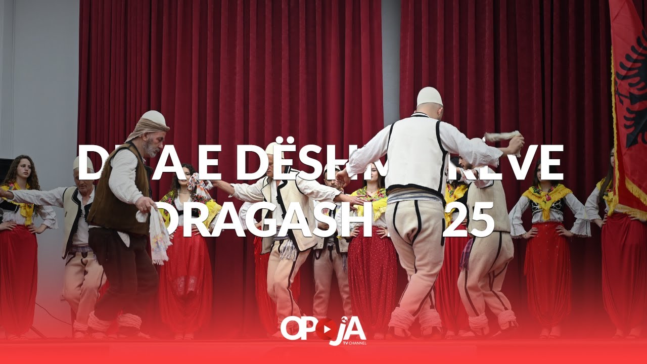 Manifestimi i ditës së Dëshmorëve 2025