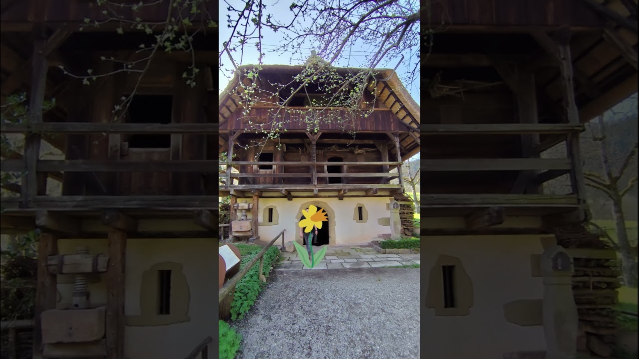 Ausflug in den Schwarzwald