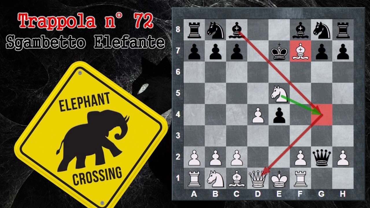 Trappole in Apertura 72 - Scacchi - Sgambetto Elefante - Gambetto Elefante