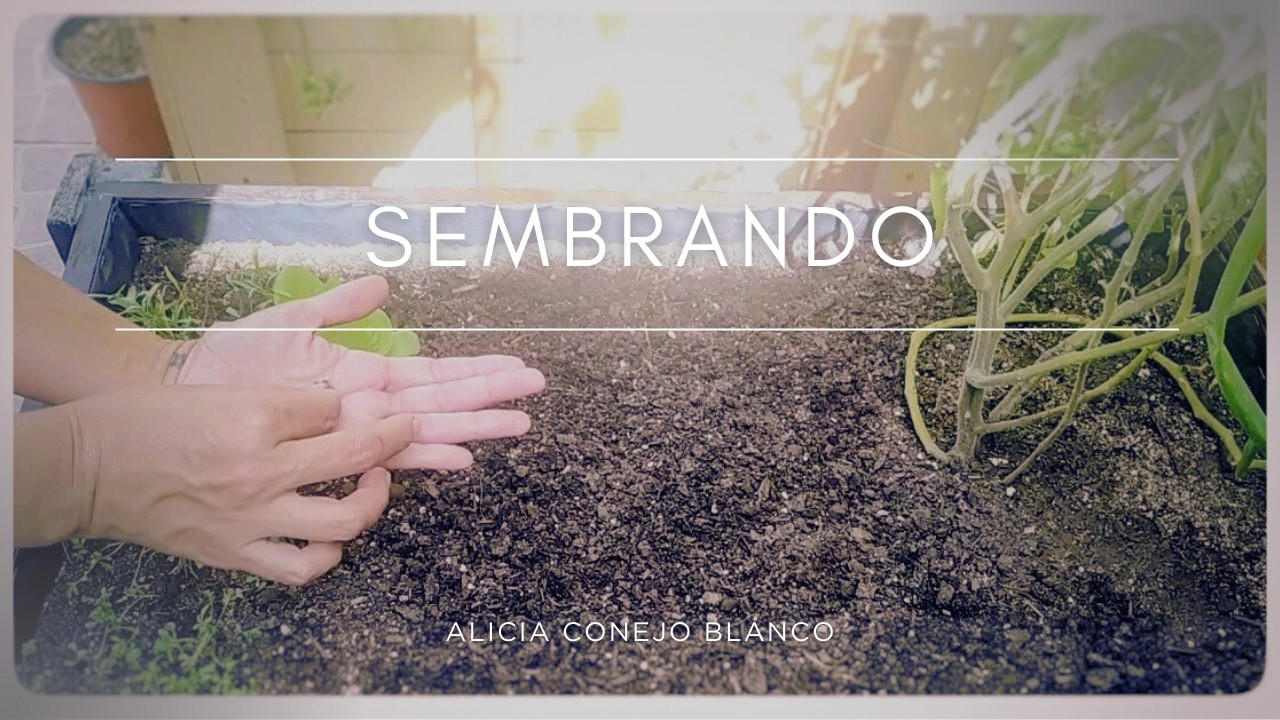 Sembrando zanahorias en mi huerto en terraza... Chill, Relax, Nature