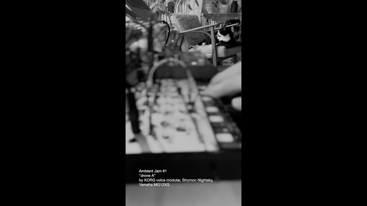 Ambient Jam #1“drone A” by KORG volca modular, Strymon Nightsky, Yamaha MG12XG