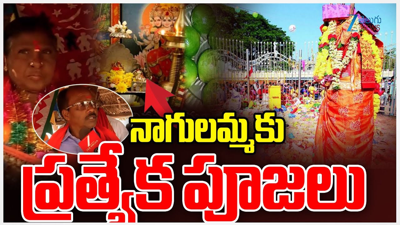 Medaram Pujarulu | Sammakka Sarakka Medaram Jatara | Medaram Jatara 2026 | ZEE Telugu News