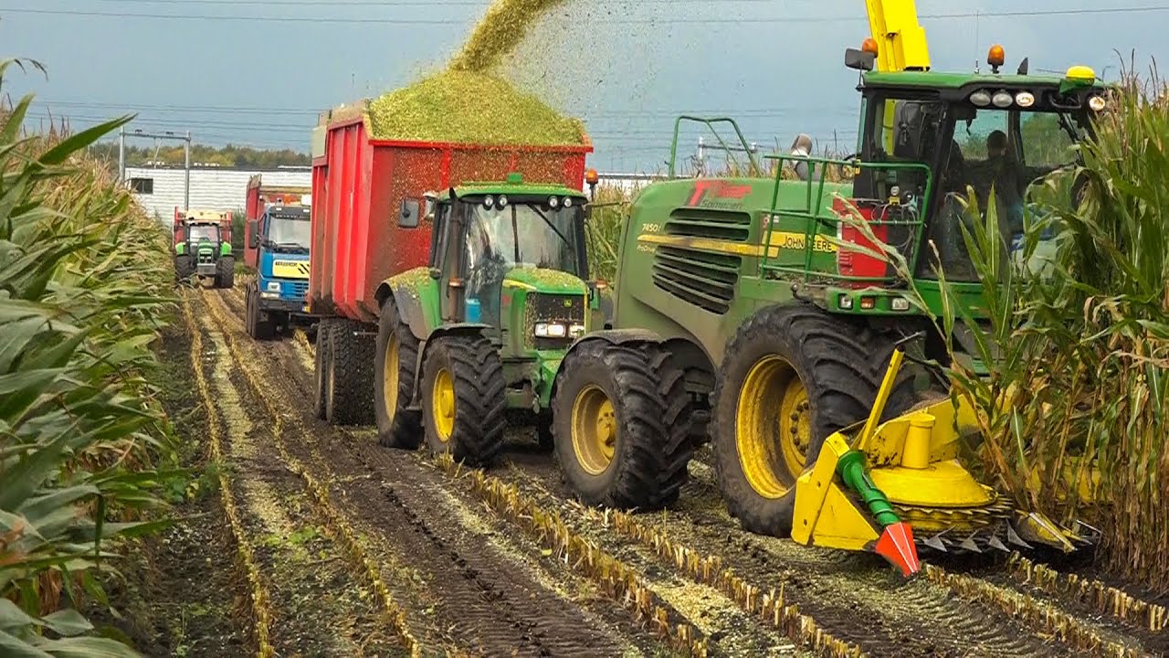 mais hakselen |  Maishäckseln | Corn Harvest  John deere 7450i