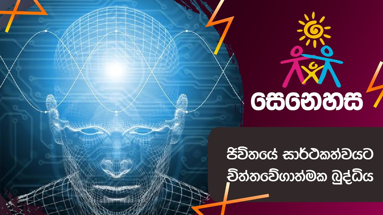 ජිවිතයේ සාර්ථකත්වයට චිත්තවේගාත්මක බුද්ධිය...