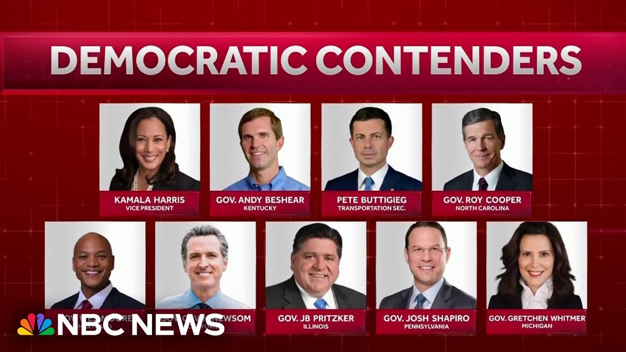 Who are potential contenders to replace Biden in the 2024 race