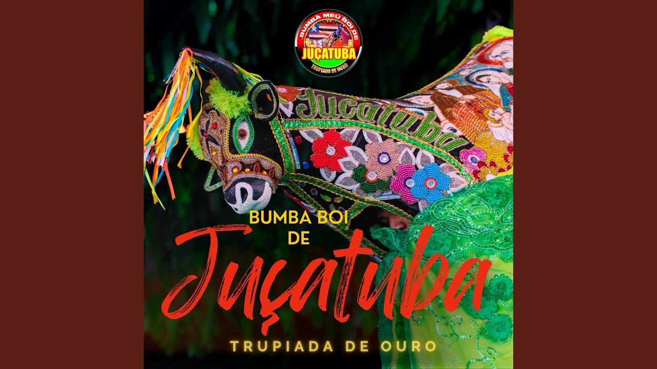 Boi de Juçatuba Vou Guarnicê (Guarnicê)