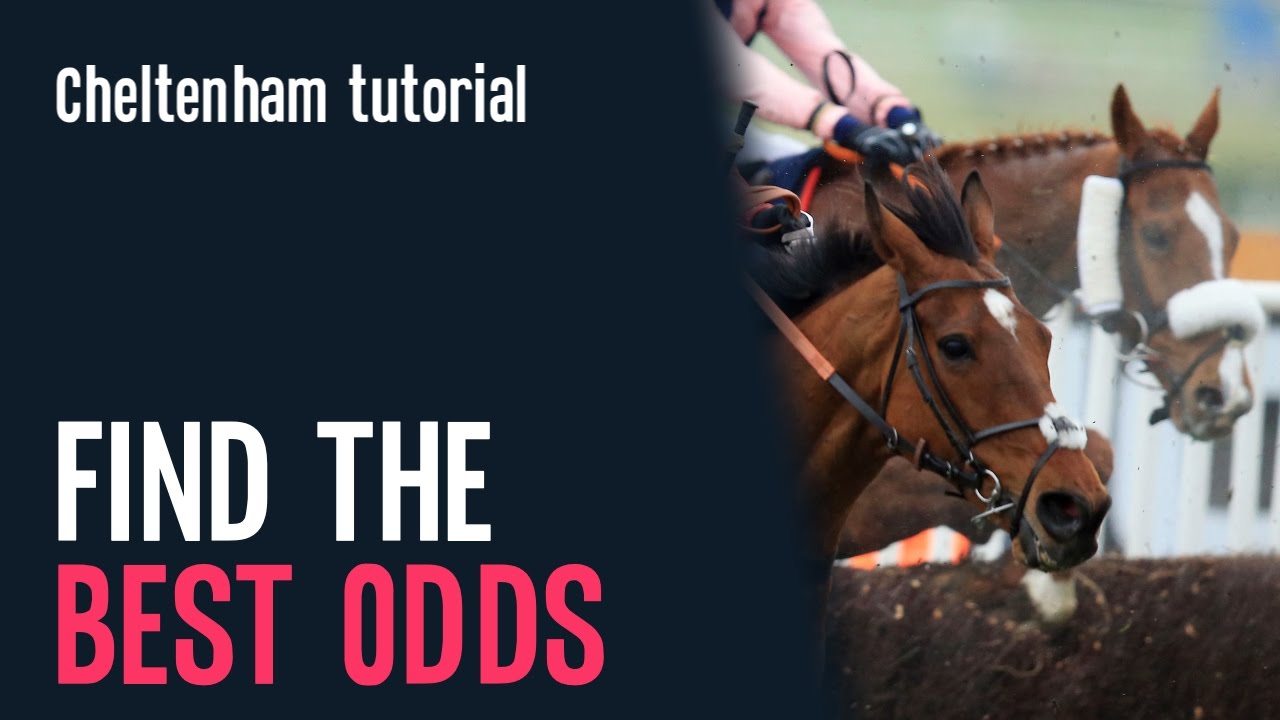 How to find the best odds ~ Cheltenham tips from bettingexpert
