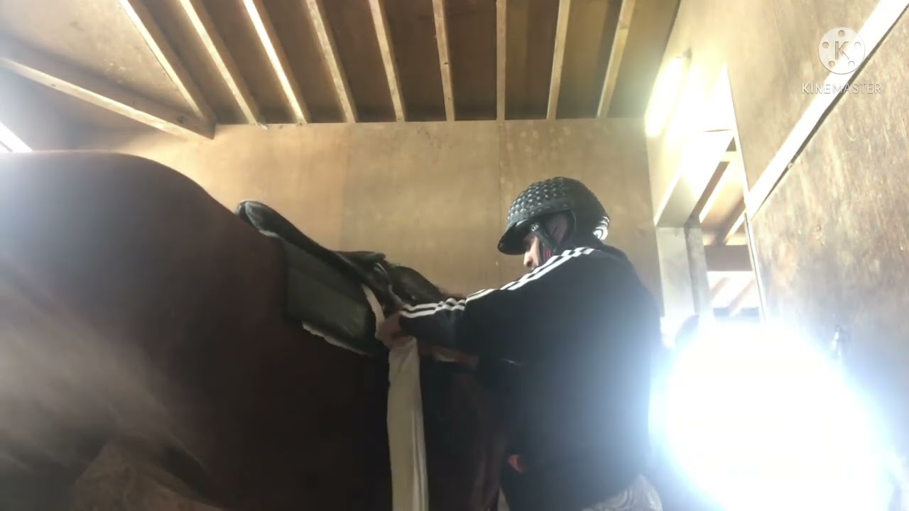 जापान में घोड़े को काम के लिये  🐎 तैयार कैसे किया जाता है ##