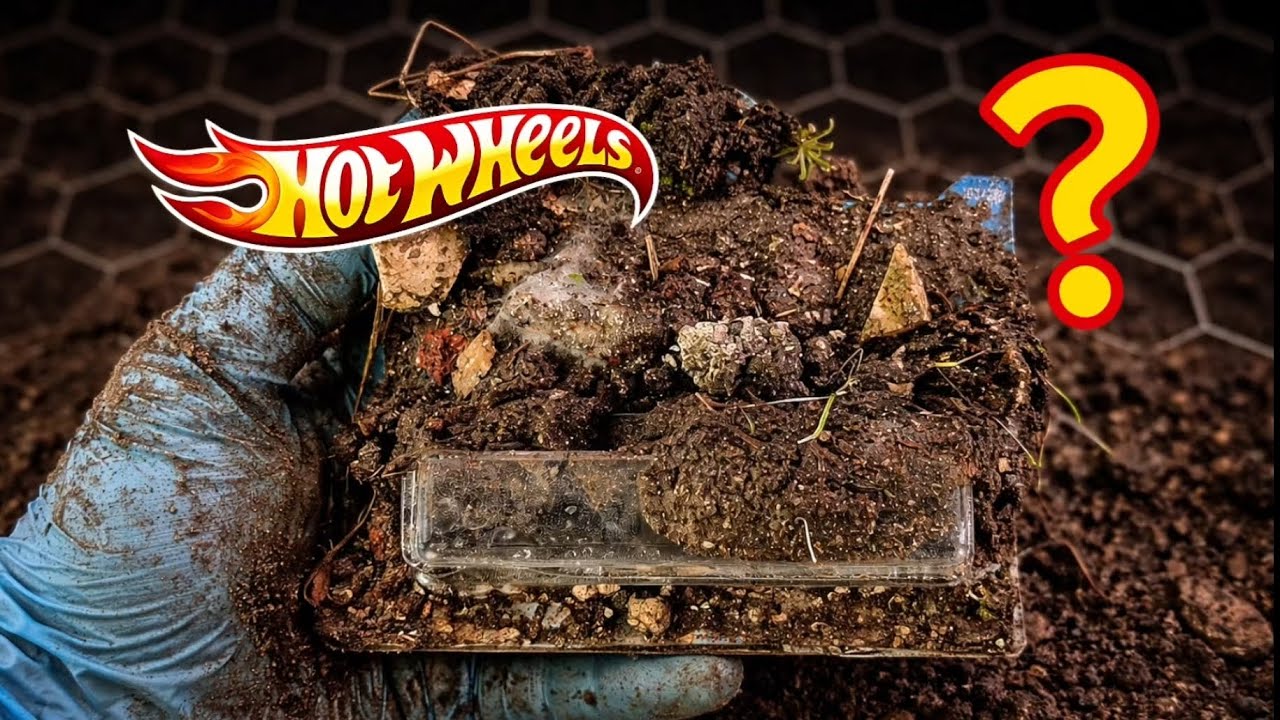 😱 I Found BURIED Hot Wheels in the Dirt… You Won’t Believe the Transformation!