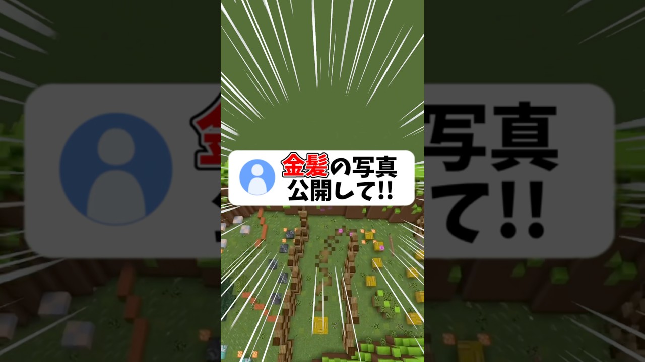 金髪の写真見せて！#shorts #マイクラ