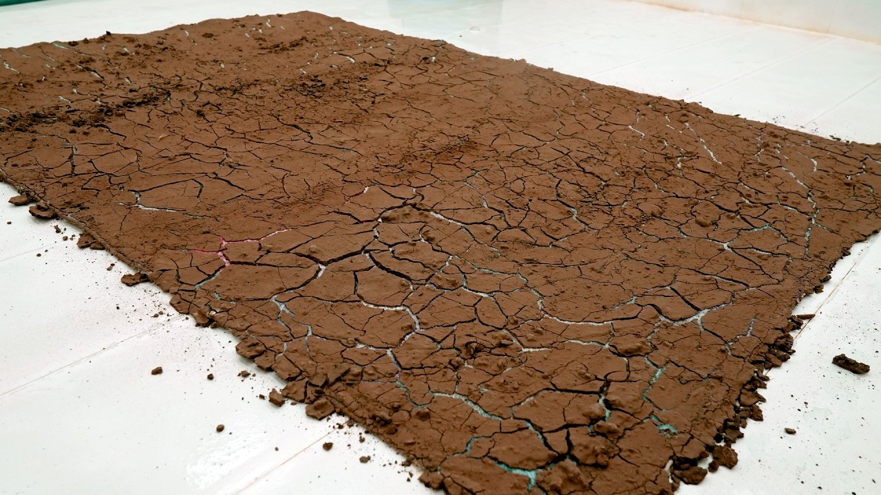 This Rug Was Forgotten in the Desert… The Cleaning Result Is Unreal - Carpet Cleaning ASMR