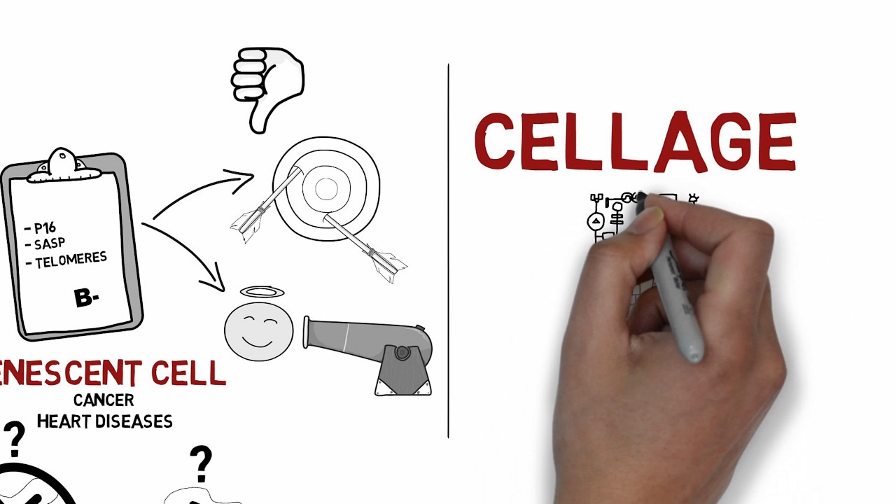 CellAge - Technology